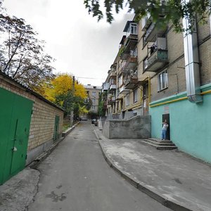 Vasylkivska Street, 23/16, Kyiv: photo