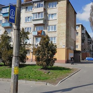 Heroiv Sevastopolia Street, 17В, Kyiv: photo