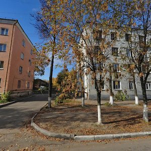 Usti-na-Labye Street, 19, Vladimir: photo