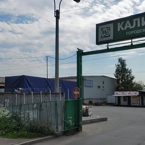 Nepokoryonnykh Avenue, 63К50, : foto
