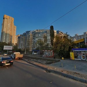 Zdolbunivska Street, 9, Kyiv: photo