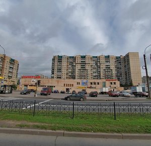 Kosygina Avenue, 30к1, Saint Petersburg: photo