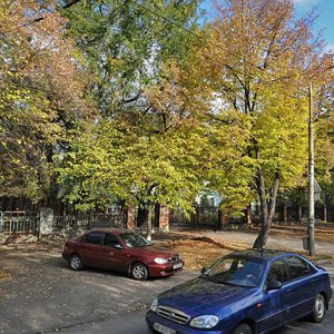 Vulytsia Serhiia Synenka, 8, Zaporizhia: photo