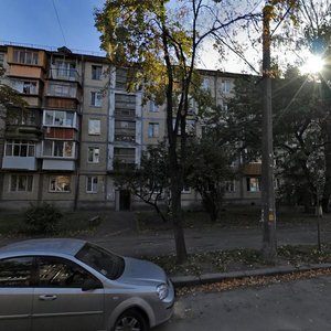 Teshebaieva Street, 54/20, Kyiv: photo