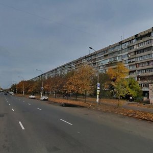 Mytropolyta Andreia Sheptytskoho Street, 24, Kyiv: photo