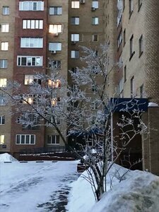 Fizkulturnaya ulitsa, 5, : foto