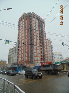 Boldina Street, 101, Tula: photo