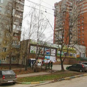 Marshala Rokossovskogo Street, 8А, Nizhny Novgorod: photo