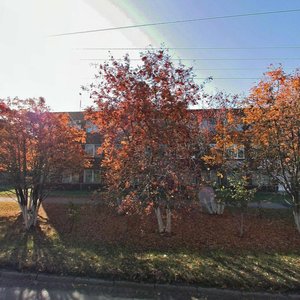Kosmonavtov Avenue, 15, Barnaul: photo