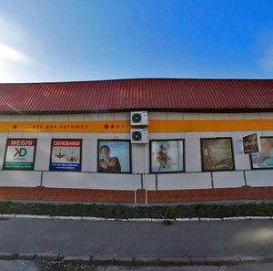 Mezhihirska Street, 55, Kyiv: photo