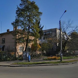 Vulytsia Chornovola, 153, Ivano‑Frankivsk: photo