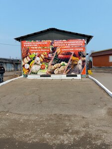 Pionerskaya Street, 85А, Birobidgan: photo