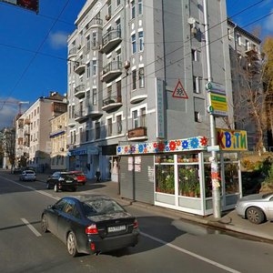 Saksahanskoho Street, 58, Kyiv: photo