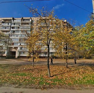 Serzha Lyfaria Street, 1, Kyiv: photo