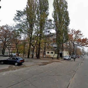 Oleksy Tykhoho Street, 32, Kyiv: photo