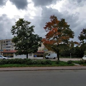 Leningradskoye Highway, 35А, Vyborg: photo