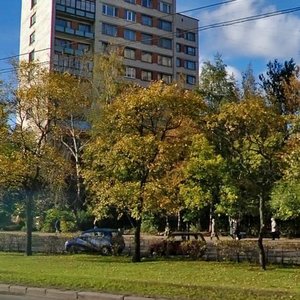 Veteranov Avenue, 51, Saint Petersburg: photo