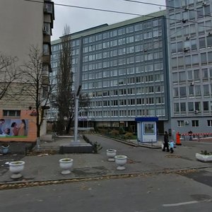 Mytropolyta Vasylia Lypkivskoho Street, 45, Kyiv: photo