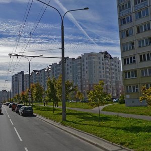 Skrypnikava Street, 21, Minsk: photo