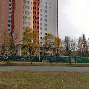 Pavla Tychyny Avenue, 18Б, Kyiv: photo