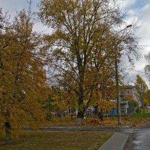 Shawchenki Boulevard, 13, Minsk: photo