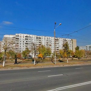 Volodymyra Maiakovskoho Avenue, 35, : foto