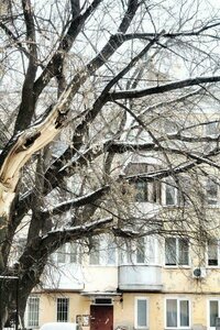 Lenina Street, 8, Omsk: photo