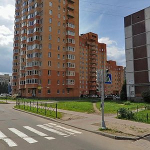 Aleksandrovskaya ulitsa, 79к2, Vsevolgsk: photo