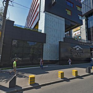 Vadyma Hetmana Street, 6, Kyiv: photo