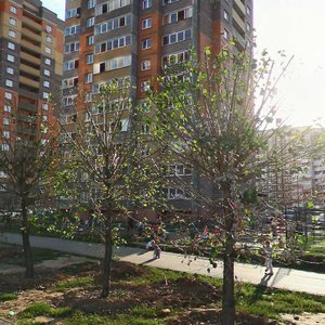 Akademik Glushko Street, 10А, : foto
