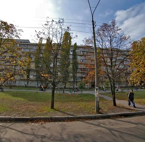 Amvrosiia Buchmy Street, 6, Kyiv: photo