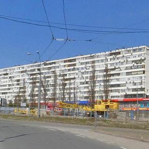 Velyka Vasylkivska Street, 145/1, Kyiv: photo