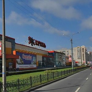 Savushkina Street, 116 ، سان بطرسبرغ: صورة