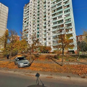 Raiduzhna Street, 35, Kyiv: photo