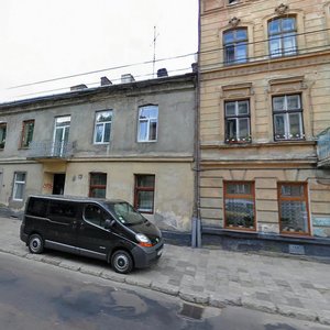 Snopkivska vulytsia, 12, Lviv: photo