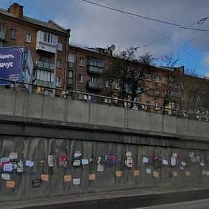 Oleny Telihy Street, 21, Kyiv: photo