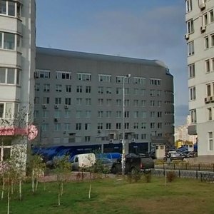 Mykoly Bazhana Avenue, 14А, Kyiv: photo