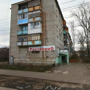 Дзержинск, Новомосковская улица, 32: фото