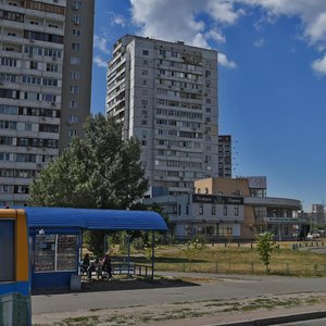 Киев, Улица Ревуцкого, 42В: фото