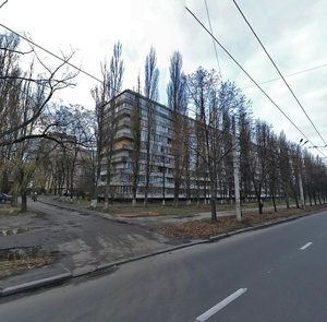 Ivana Vyhovskoho Street, 11, Kyiv: photo