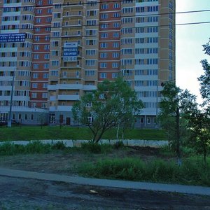 Ногинск, Гаражная улица, 1: фото