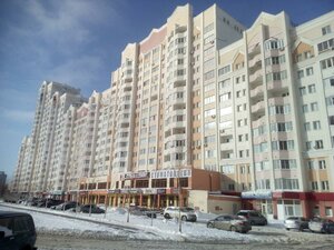 P.I. Smorodina Street, 9А, Lipetsk: photo