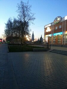 Aleksandra Nevskogo Square, 1, Egorievsk: photo