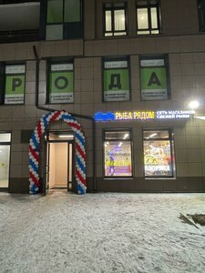 Prazhskaya Street, 5, Kudrovo: photo