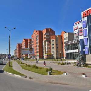 Bogolubova Avenue, 16, Dubna: photo