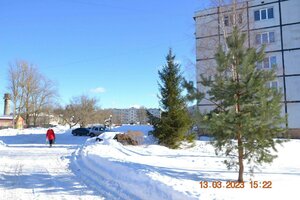 Санкт‑Петербург и Ленинградская область, Посёлок Володарское, 3: фото