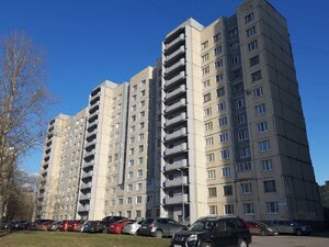 Irinovskiy Avenue, 21к2 ، سان بطرسبرغ: صورة