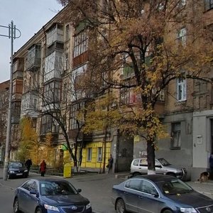 Zhylianska Street, 58, Kyiv: photo