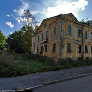 Пушкин, Улица Красной Звезды, 10: фото