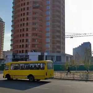 Maryny Tsvietaievoi Street, 13, Kyiv: photo